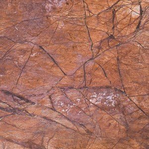 Mẫu đá Marble Rainforest Brown vân tự nhiên độc đáo