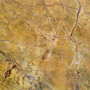 Rain Forest Marble
