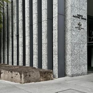 Mẫu đá ốp mặt tiền đẹp cao cấp An Phát Stone mẫu 12