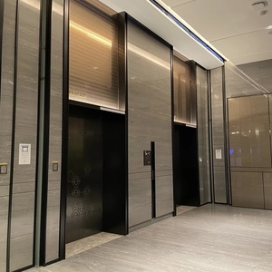 Bộ sưu tập đá ốp thang máy cao cấp An Phát Stone mẫu 14