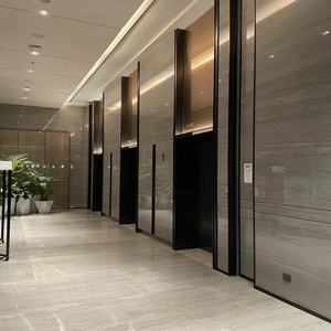 Bộ sưu tập đá ốp thang máy cao cấp An Phát Stone mẫu 15