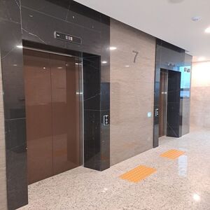 Bộ sưu tập đá ốp thang máy cao cấp An Phát Stone mẫu 23
