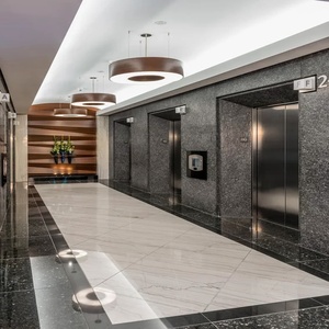 Bộ sưu tập đá ốp thang máy cao cấp An Phát Stone mẫu 07